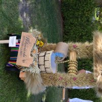 Zobacz w powiększeniu: Dożynki Gminne Baranów 2025 (19)